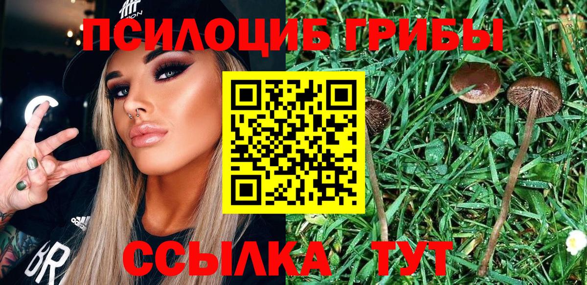 Галлюциногенные грибы ЛСД Норильск